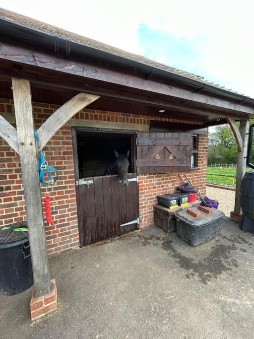 Ferienwohnung The Stable, Grove End Farm Petworth Exterior foto